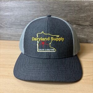 Dairyland Supply‎ Hat Cap Snap Back Gray Minnesota Sauk Centre Adjustable